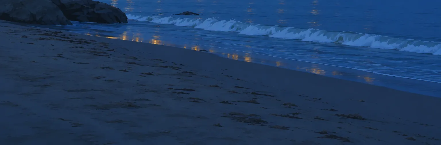 beach background